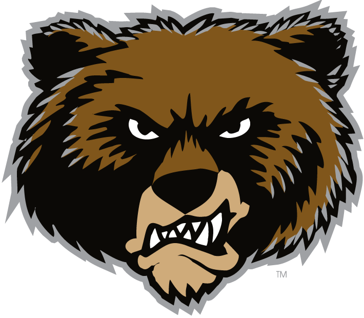 Montana Grizzlies 1996-Pres Alternate Logo diy DTF decal sticker